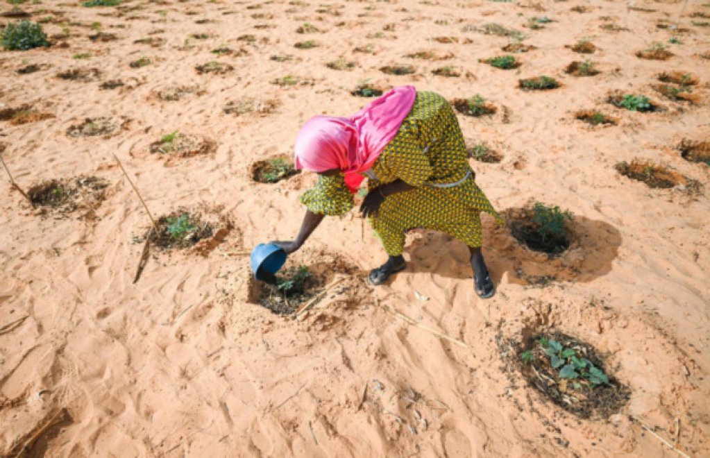 لاجئة من مالي تسقي بستانا زرعه نازحون وسكان محليون في أولام في النيجر. المصدر: كولين ديلفوس.