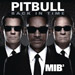 Pitbull: Back In Time