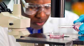 A researcher dropping liquid into a petri dish