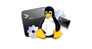 Основы программирования для Linux