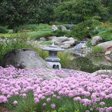 Japanese Hill and Pond Garden.