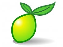 LimeSurvey