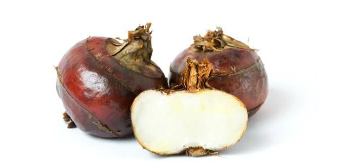 Water Chestnuts During Pregnancy: Health Benefits And 5 Recipes Your Must Try