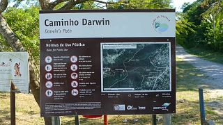 "Caminho de Darwin" convida a uma viagem pelos caminhos do naturalista britânico no Brasil