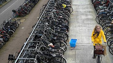 I Paesi Bassi e i Paesi nordici sono leader nell'uso della bicicletta, a fronte di un basso utilizzo nei Paesi mediterranei.