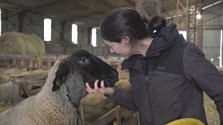 Agriculteurs français : les raisons de la colère