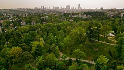 Jardines, bosques, islas... en Estambul encontramos muchos rincones para disfrutar de la naturaleza