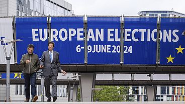 Fake News im Netz aufdecken - Das hat vor den Europawahlen höchste Priorität.