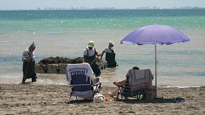 "El mar Menor de todos": La laguna con personalidad jurídica lucha contra la contaminación