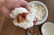 Onigiri sind gefüllte Reiskugeln aus Japan, hier mit gesalzener Pflaume, oder "umeboshi".
