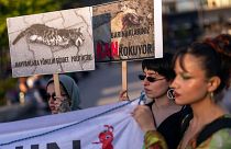 Activistas en favor de los derechos de los animales portan pancartas durante una protesta en Estambul, Turquía, 24 de mayo de 2024.