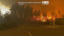 Incêndio no distrito de Aveiro