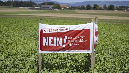 DATEI - Ein Plakat für die Nein-Kampagne vor dem Referendum über die Artenvielfalt, das am 22. September stattfinden soll, ist auf einem Feld in Höchstetten, Schweiz, am Freitag, 23. August 2024, zu sehen.