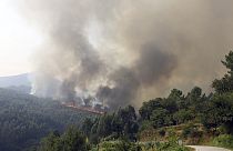 Manifestaciones en Portugal por los incendios