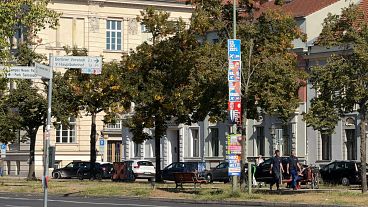 Carteles de AfD pintarrajeados en Potsdam.