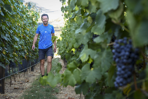 Winemaker Adrian Rodda of A. Rodda Wines in Beechworth, Vic.