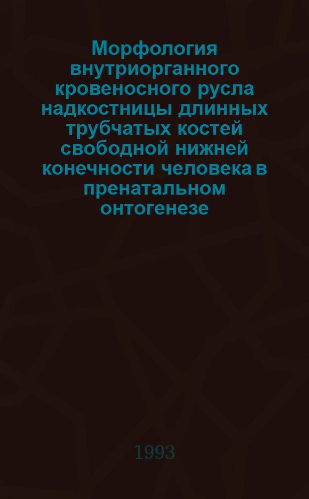 Морфология внутриорганного кровеносного русла надкостницы длинных трубчатых костей свободной нижней конечности человека в пренатальном онтогенезе : Автореф. дис. на соиск. учен. степ. к.м.н