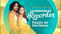 Pasión de Gavilanes