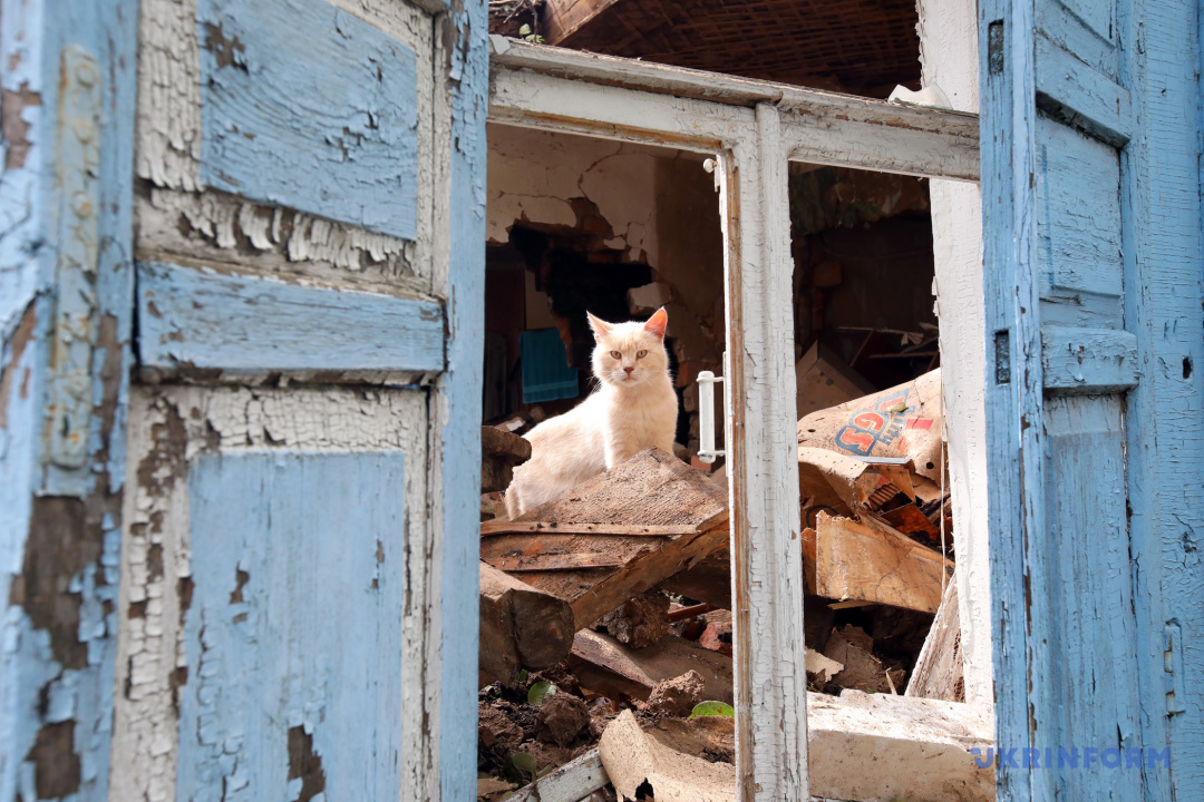 Фото: В’ячеслав Мадієвський