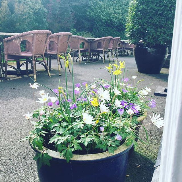 Flowers on the Platform