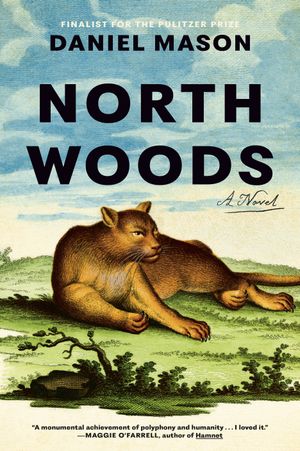 book cover for North Woods