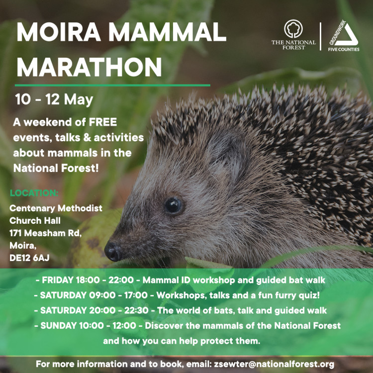 Moira Mammal Marathon at Centenary Methodist Church Hall,  171 Measham Road, Moira, near Ashby de la Zouch