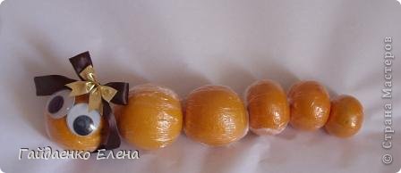 Между апельсинками-мандаринками можно (нужно!) добавить оборки из упаковочной бумаги или бантики, а можно колечко из 3-4 карамелек :))
Эта змейка - основа для оформления новогодней композиции с конфетками (фото 18)