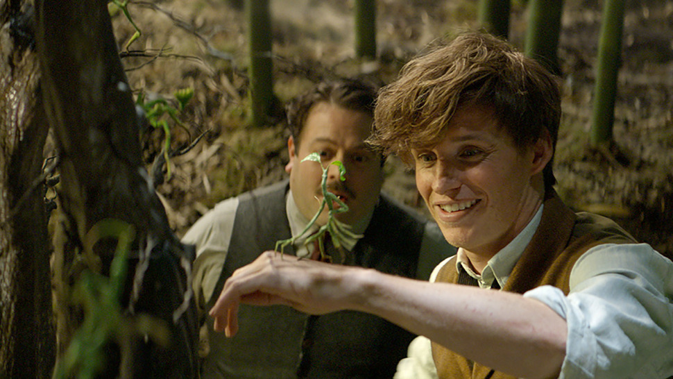 Dan Fogler, Eddie Redmayne in Phantastische Tierwesen und wo sie zu finden sind