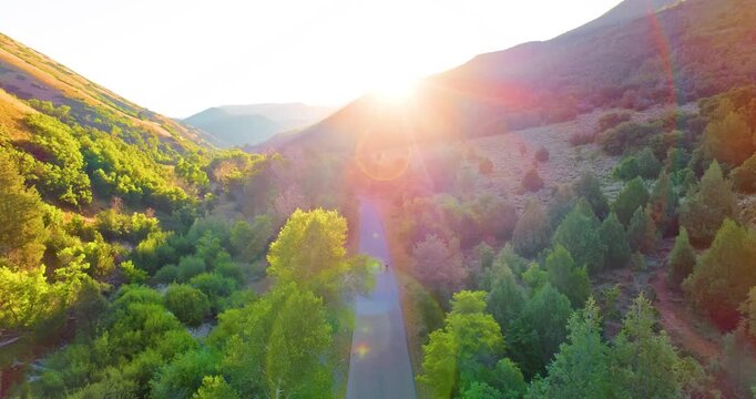 Sunrise over canyon forest road and bikers - drone shot