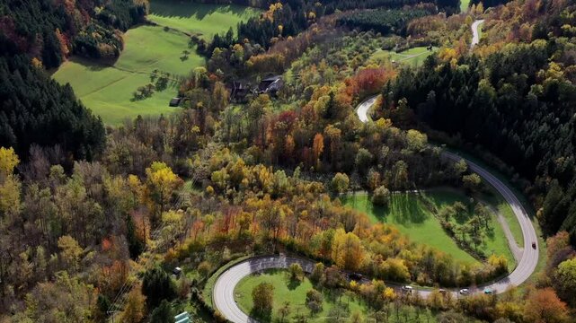 Aerial view of autumn trees on a sunny day in the Black Forest, Baar, Heuberg, Baden-Württemberg, Germany