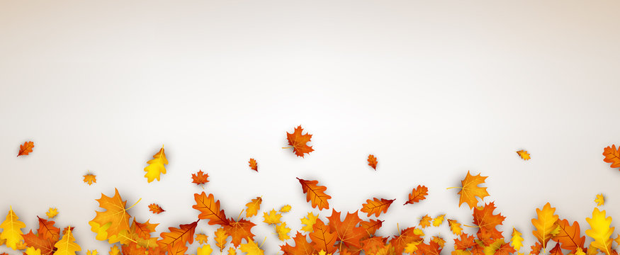 Autumn banner with orange leaves.