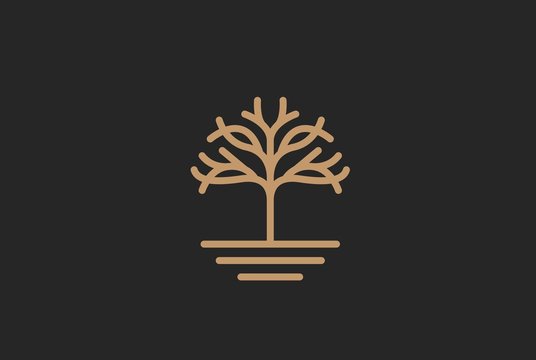 Modern symmetrical golden tree with leaf and soil logo design