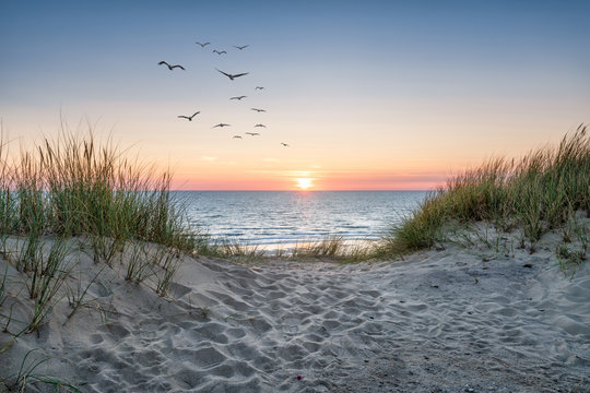 Sand dunes on the beach at sunset