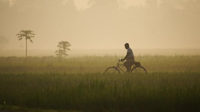 Foggy winter morning video of rural Bangladesh with ambient sound. Serene and picturesque footage for use in videos about nature, travel, and rural life. Biking, cycling, hiking, travel, vacation