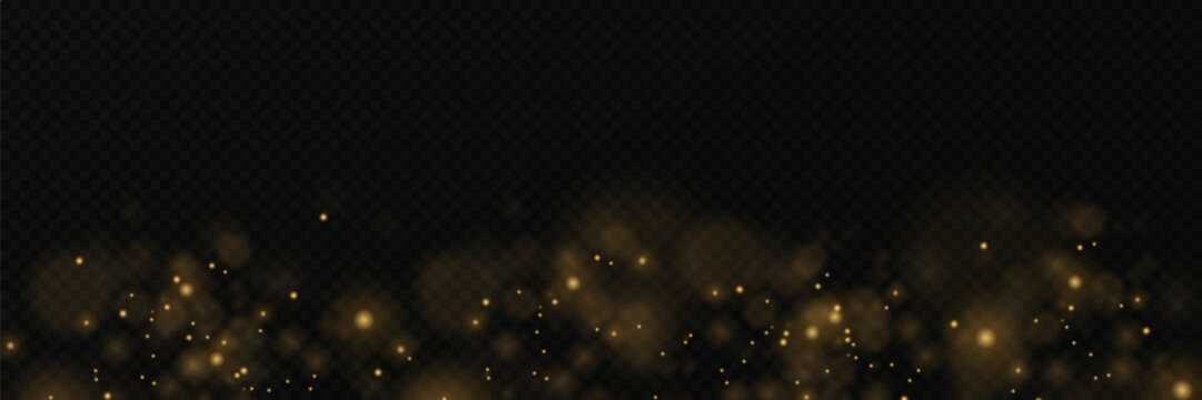 
Sparkling gold particles, glowing lights isolated on transparent background.