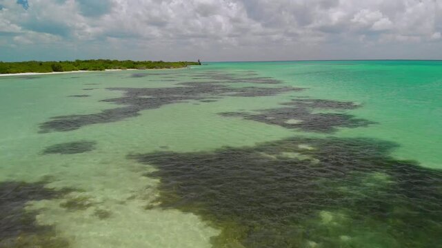 Drone footage of clear turquoise water in Mexico, highlighting seaweed patterns.