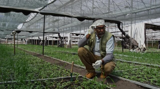 Senior male farmer wearing gloves and headband using garden trowel while taking care of plant bed in greenhouse, getting tired and wiping forehead during workday