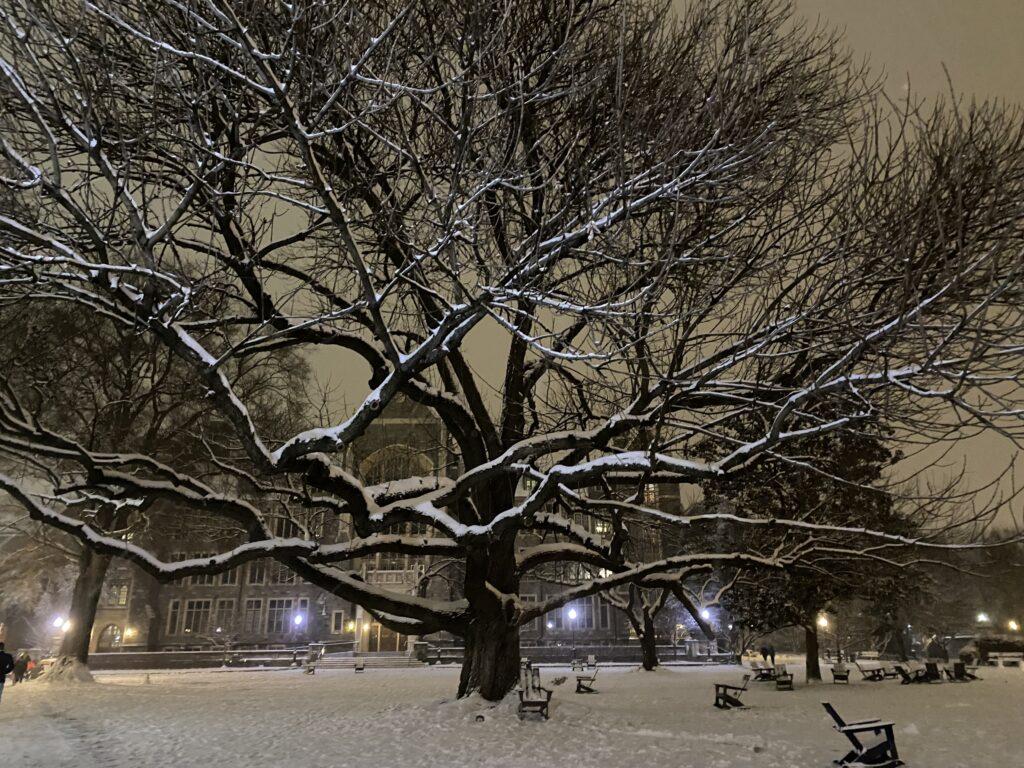 Storm Cancels Classes, Spurs Students’ Snowballs