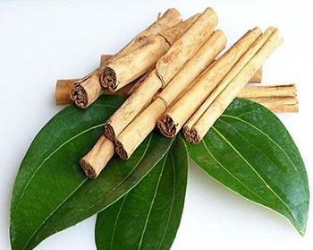 5 Plants Similar to Insulin that Lower Your Blood Sugar - Cinnamon
