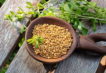 My Herbal Mixture for Chronic Cough - Fenugreek