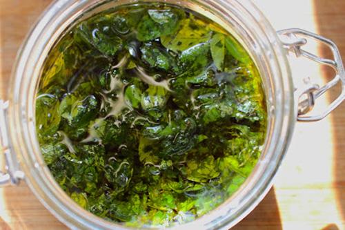 The Super Herb That Destroys Candida - Oregnao Oil Step 3
