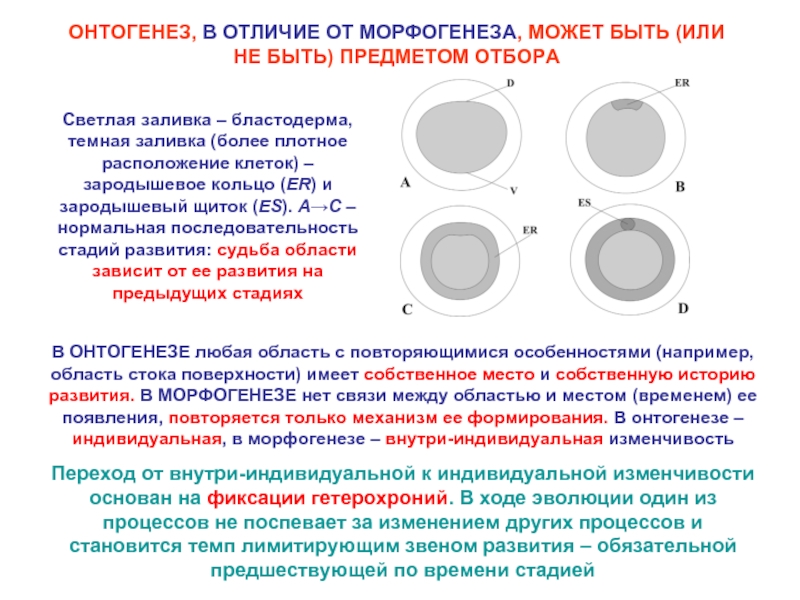 Повторяться возникновение