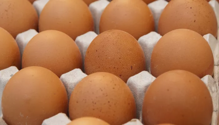 Жителей Екатеринбурга призвали не облизывать куриные яйца ради миллионной компенсации