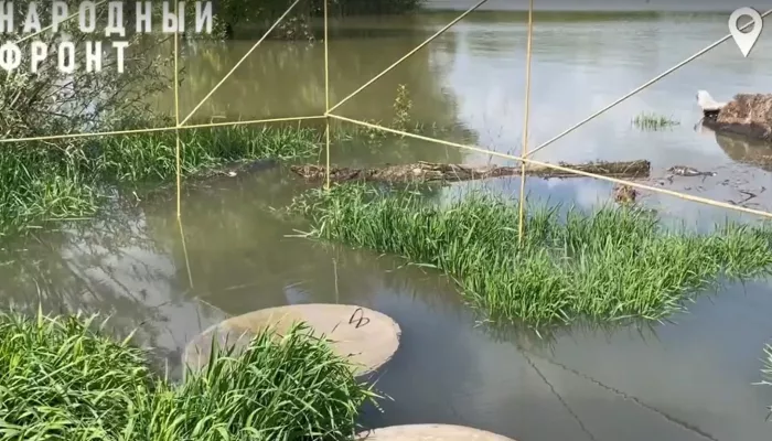 В Барнауле под контролем Бастрыкина разберутся со сливом канализации в Обь