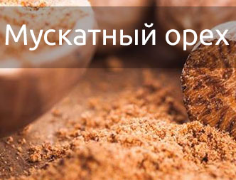 Статья о мускатном орехе