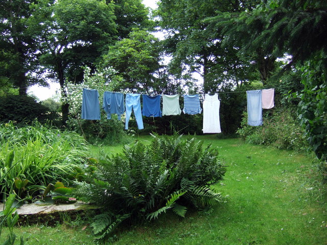 File:Washing line - geograph.org.uk - 474349.jpg