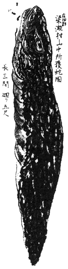 File:Suizan Nozuchi.jpg