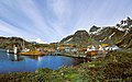 Grytviken