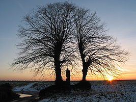 Sunset on Cambron-Casteau.