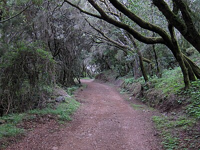 Ruta de senderismo junto a Laguna Grande /Hiking trail near Laguna Grande